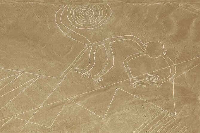 Full Day Nazca Lines Overflight and Departure From Ica - About Your Stay