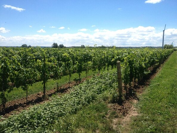 Full-Day NOTL Scooter or E-Bike Wine & Cider Tour - Good To Know