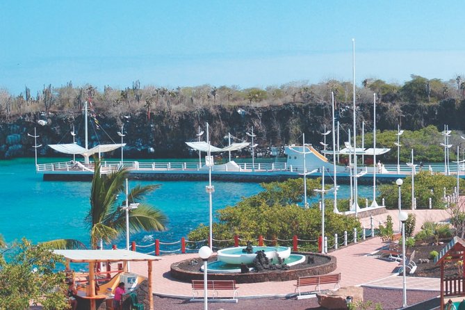 Full-Day Pinzon Island Snorkeling and Fishing - Good To Know