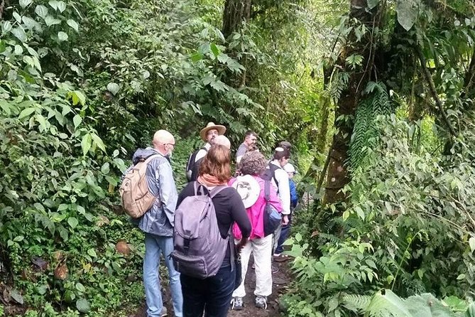 Full-Day Private Birding Tour in La Paz Refuge & Alambi Hummingbird Sanctuary - Good To Know