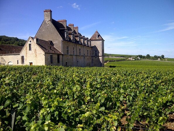 Full-Day Private Burgundy Wine Route Tour From Beaune - Good To Know