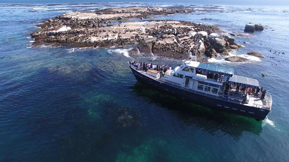 Full Day Private Cape Peninsula and Boulders Beach Tour - Good To Know