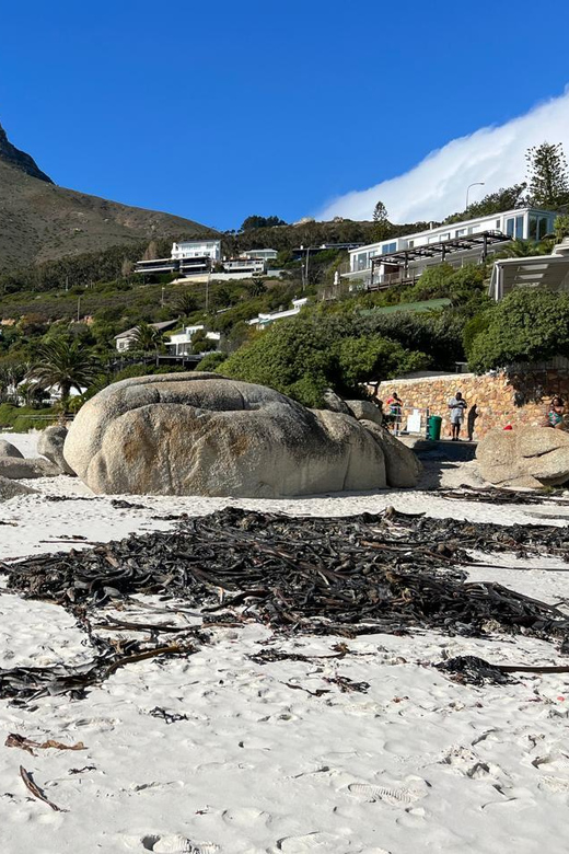 Full-Day Private Cape Town's Most Beautiful Beaches Tour - Good To Know