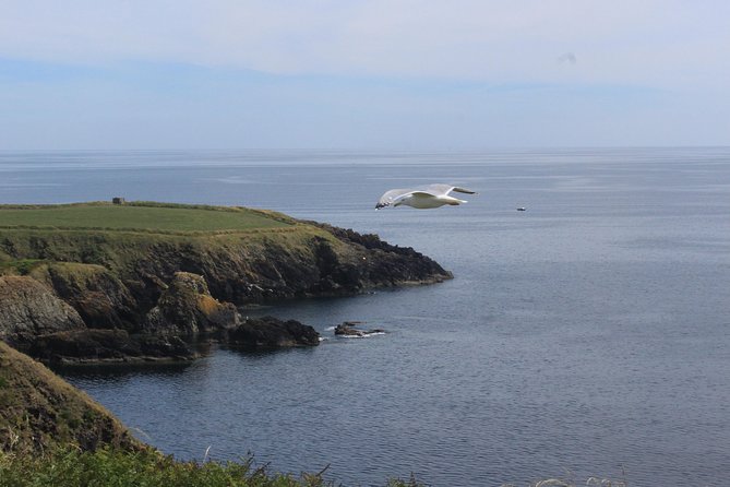 Full Day Private Tour From Waterford - Good To Know