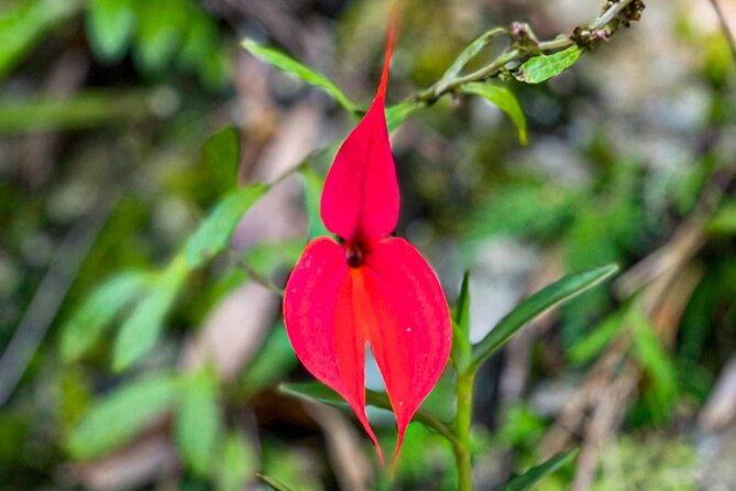 Full-Day Private Tour in Machupicchu With Expedition Train - Itinerary and Schedule