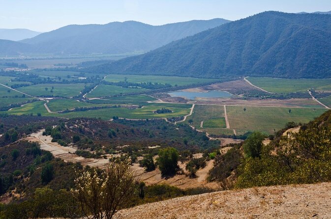 Full Day Private Wine Tour Casablanca Valley From Santiago - Good To Know