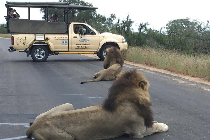 Full Day Safari Shared Tour at Kruger National Park - Good To Know