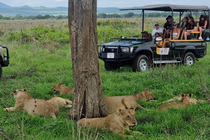 Full-Day Safari Tour From Mikumi National Park of Zanzibar - Good To Know