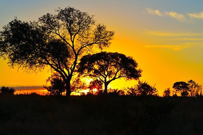 Full-Day Shared Kruger National Park Safari From Hoedspruit - Tour Overview and Ratings