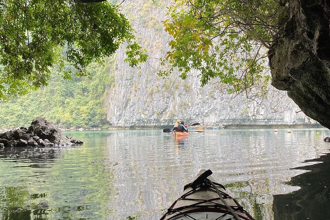 Full-Day Small Group Guided Kayaking Tour With Lunch in Cat Ba - Kayaking Experience in Lan Ha Bay