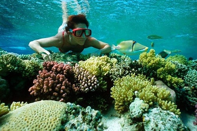 Full Day Snorkeling Trip to the Red Sea in Safaga From Luxor - Good To Know
