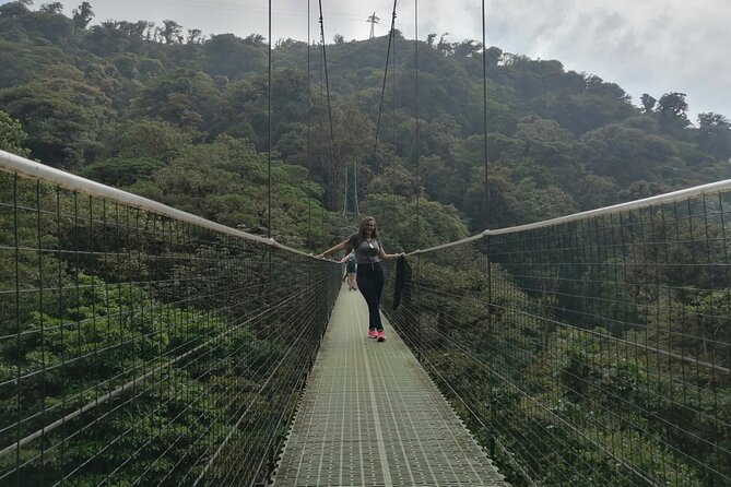 Full Day to Monteverde From San Jose With Canopy and Reptil Amphibians Watching - Good To Know
