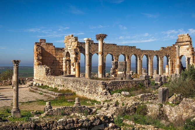 Full-Day Tour From Fez to Vollubulis, Moulay Idriss Zerhoun, Mèknes - Exploring Volubilis: Roman Ruins