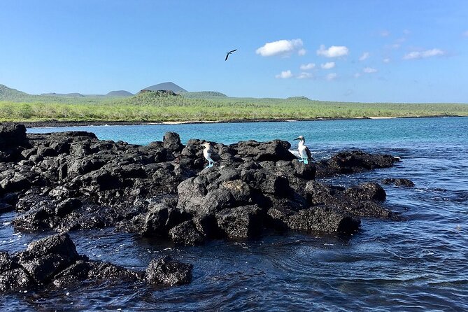 Full-Day Tour to Floreana Island & Cave of Pirates - Good To Know