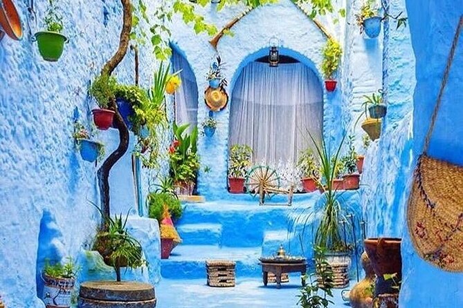 Full-Day Tour to the Blue City Chefchaouen on Small-Group - Good To Know