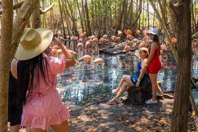 Full Day Tour to the Playa Blanca National Aviary and Plankton - Good To Know