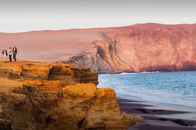 Full Day Tour to Visit Ballestas Islands and Paracas Reserve - Good To Know