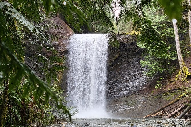 Full-Day Tour, Waterfalls, Caves, Old Growth on Vancouver Island - Good To Know