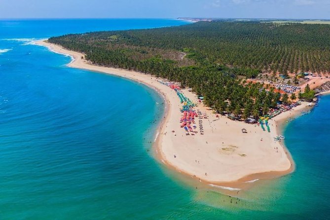 Full Day Trip to Gunga Beach From Maceió - About Your Stay