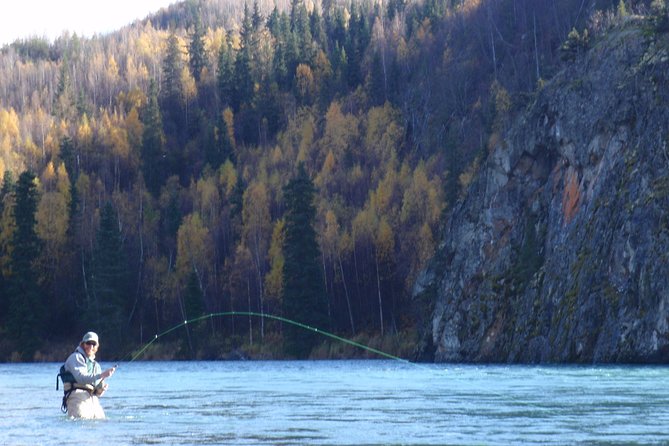 Full-Day Upper Kenai River Guided Fishing Trip - Experience Overview
