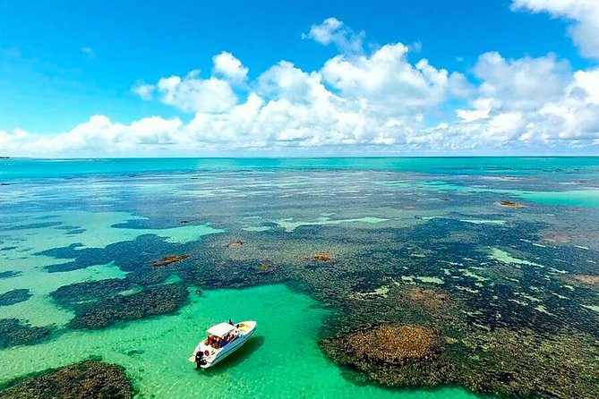 Full-Day Visit to Paripueira Beach and Tide Pools in Maceió - Good To Know
