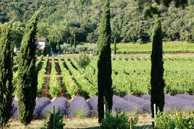 Full-Day Wine Tour Around Luberon From Marseille - Good To Know