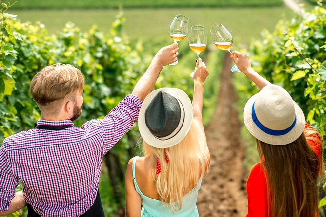 Full Day Wine Tour - Lake Country Scenic Wine Experience - Good To Know