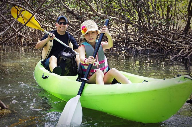Fully Guided Kayaking Backwater Manatee and Dolphin Tour - Good To Know