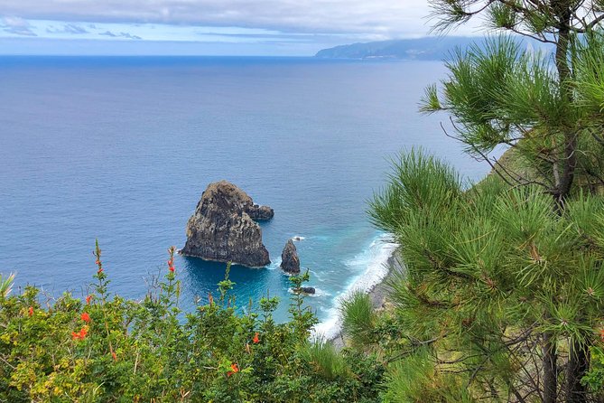 Funchal Small-Group Food and Drinks Tour  - Madeira - Booking Confirmation and Group Size