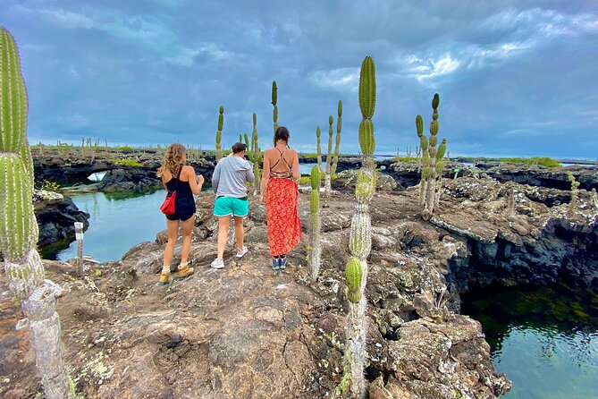 Galapagos Hoping Islands: 7 Days, Experience 4 Islands - Good To Know