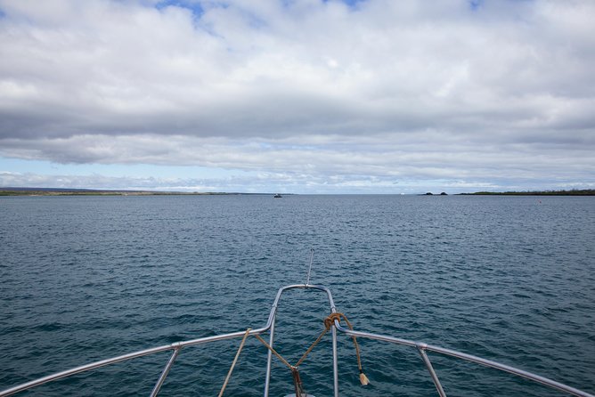 Galapagos Islands Airport Arrival Transfer - Good To Know