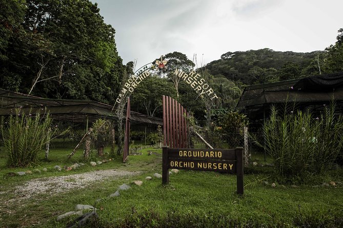 Gamboa Aerial Tram and Sloth Sanctuary - Tour Duration and Inclusions