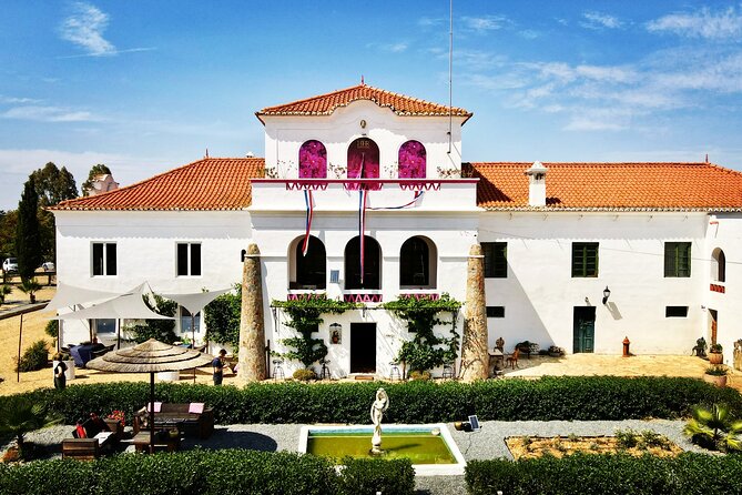 Gastronomic Wine Tasting in Mértola, Alentejo - Key Points