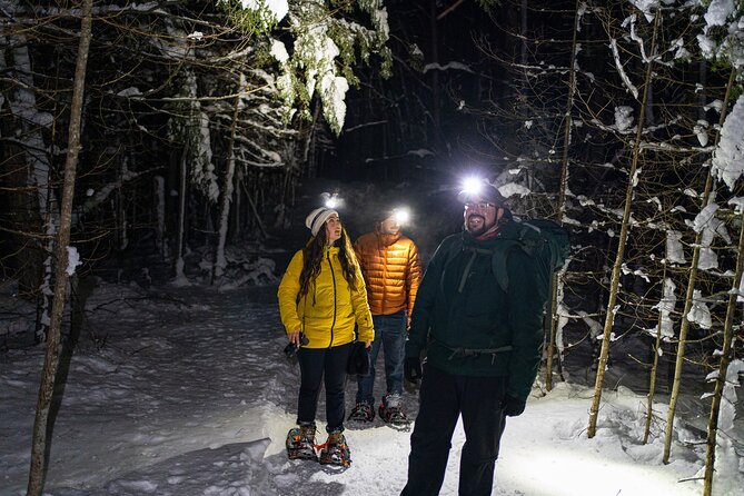 Gatineau Park Nocturnal Snowshoeing Adventure & Dinner - From Ottawa & Gatineau - Good To Know