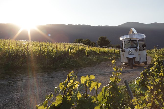 Geneva Panoramic & Tasting Vineyards Tour in an Tuk Tuk - Key Points