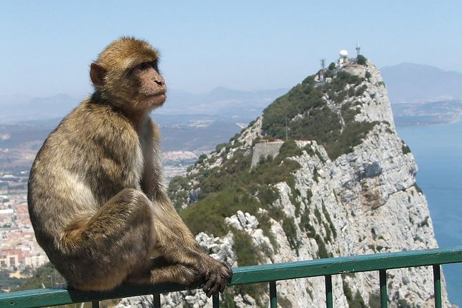Gibraltar Classic Rock Tour Review
