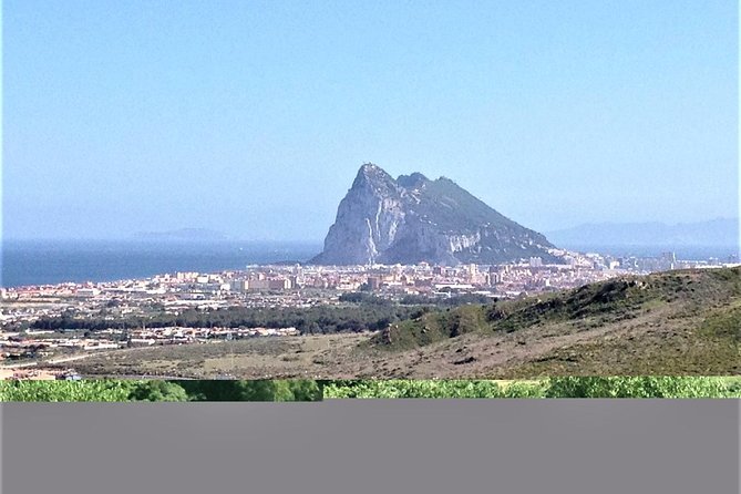 Gibraltar Private Trip From Marbella or Malaga - Overview and Highlights