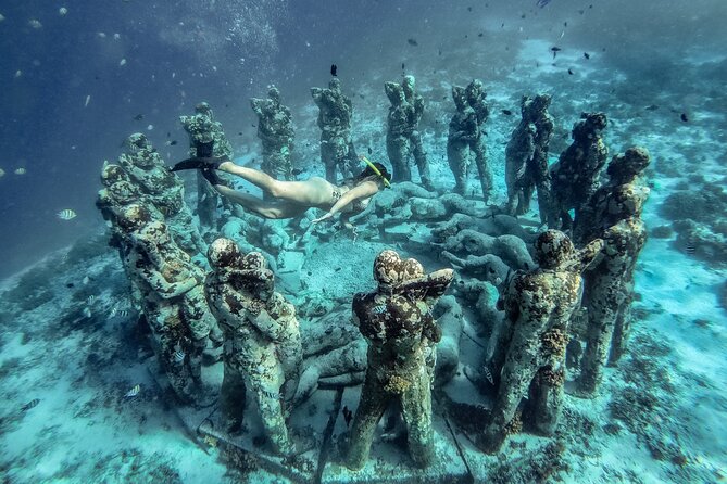 Gili Trawangan: Shared Gili Islands Snorkeling Tour - Good To Know