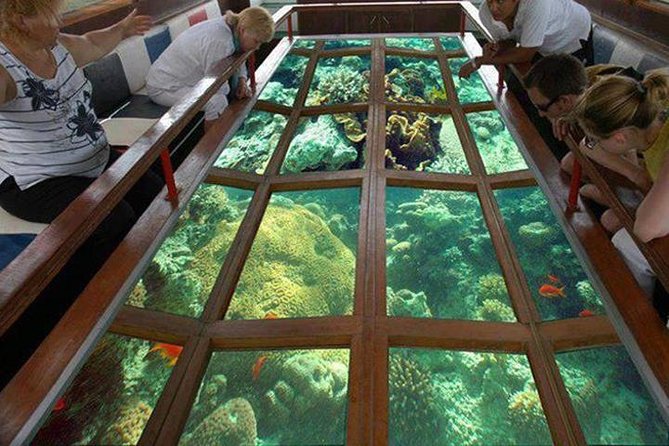 Glass Bottom Boat Excursion in Sharm El Sheikh - Good To Know