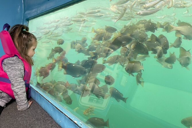 Glass Bottom Boat Ride in Redondo Beach - Good To Know