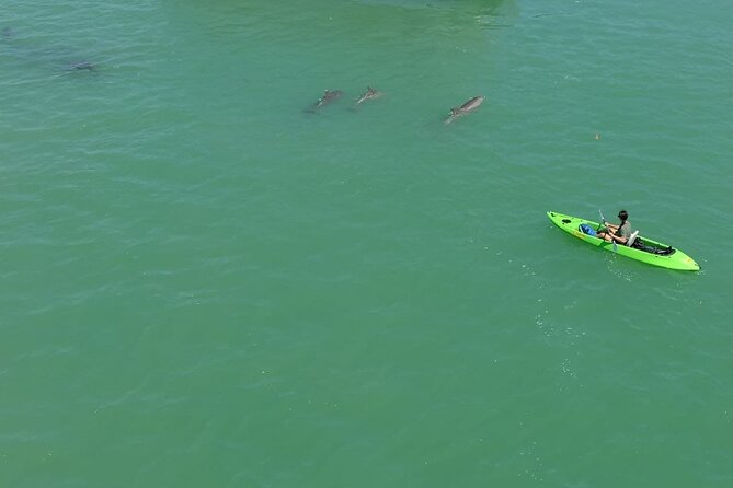 Glass Bottom Kayak Mangrove & Sandbar Adventure in St. Pete Beach - Good To Know