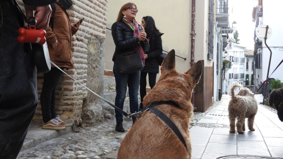 Granada: Guided Realejo Tour With Pets - Good To Know