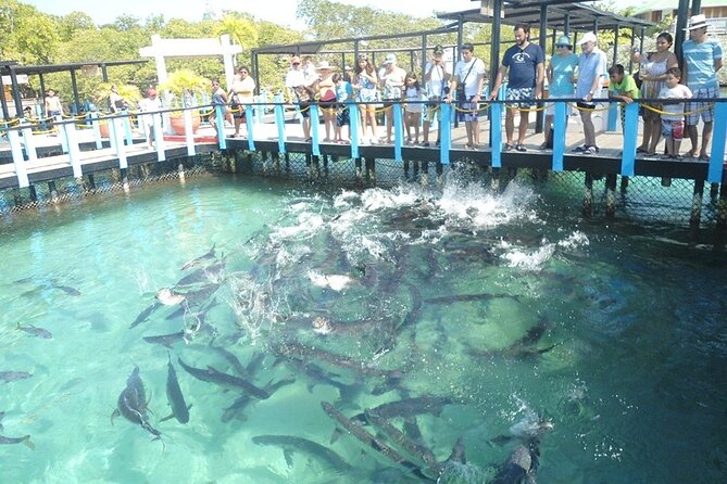 Great Tours Rosario Island, Blue Beach, Cholon And White Beach - Tour Overview