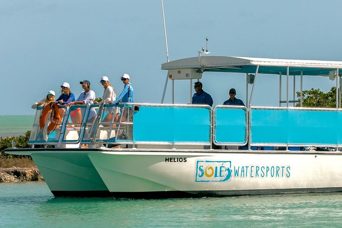 Group Snorkel & Sandbar From Hawks Cay - Good To Know