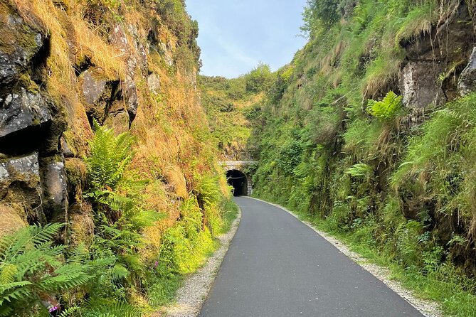 Guided Bike Ride: Exploring the Limerick Greenway - Overview of the Limerick Greenway