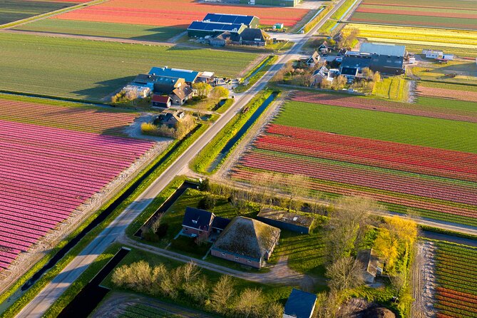 Guided Bike Tour Along the Dutch Tulip Fields in Noord Holland - Good To Know