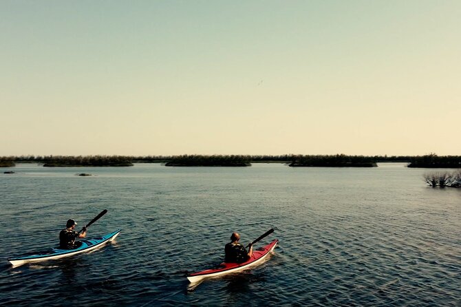 Guided Excursion for Small Groups by Kayak in Valle Da Pesca - Good To Know