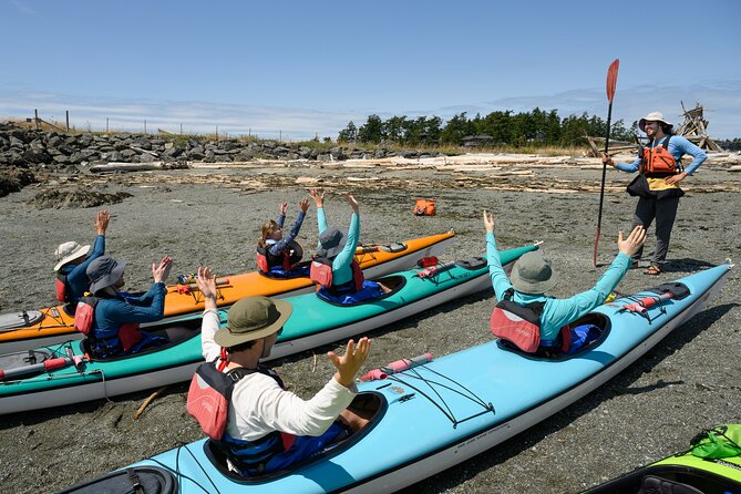 Guided Kayak Tour on San Juan Island - Good To Know