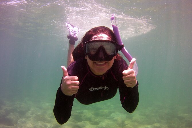 Guided Snorkel Experience in Fort Lauderdale - Good To Know