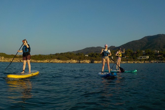 Guided Stand up Paddle (Sup) Lesson and Tour - Overview of the Activity